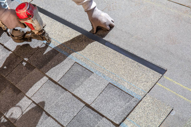 Best Roof Gutter Cleaning  in Leetonia, OH